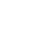 Scroll Top